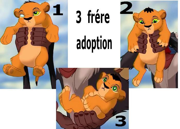 adoption