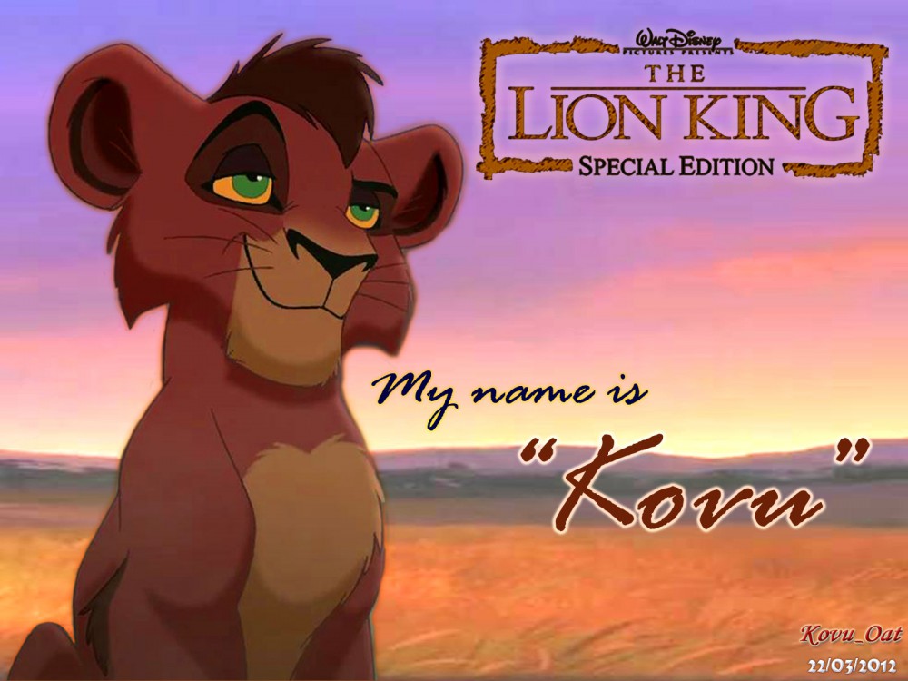 My Name is Kovu 4:3 wallpaper