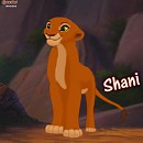 Request : Shani FL101