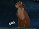 Request : Sao looking the stars