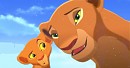  Look Nala! 