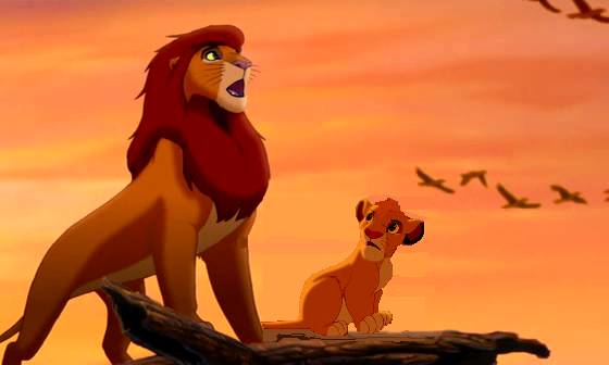 Simba et Kopa.