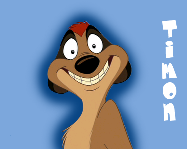 Timon avvie