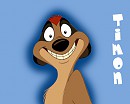 Timon avvie