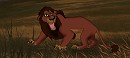 Kovu?