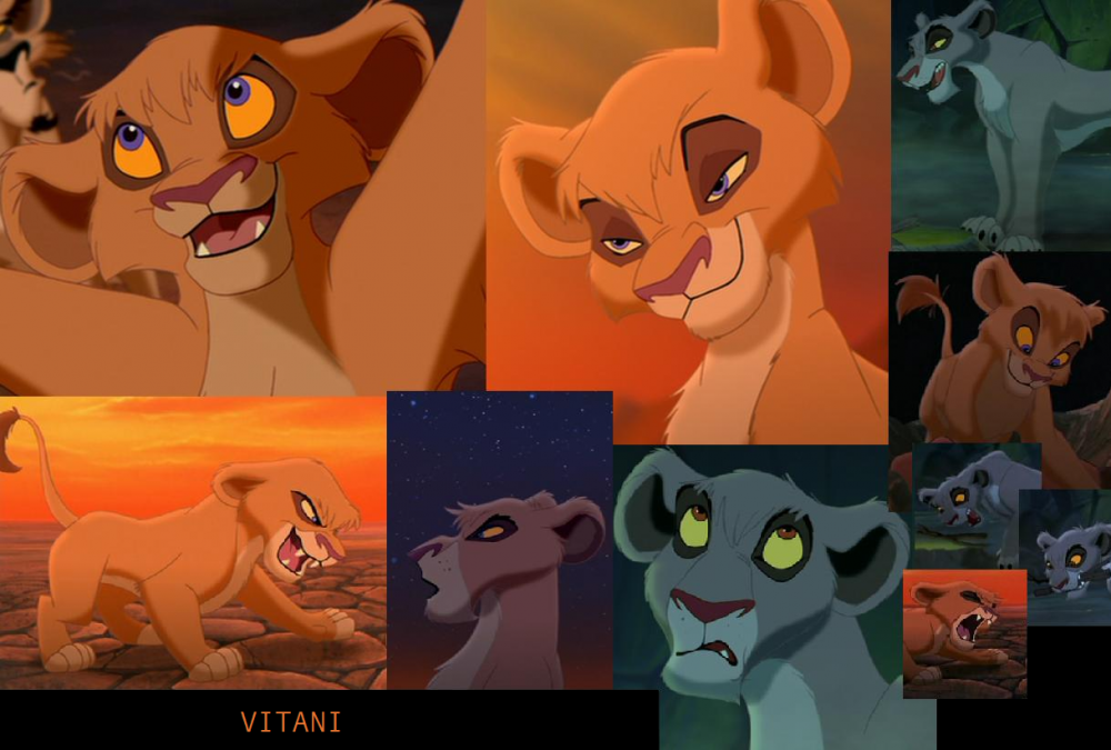 Vitani Background