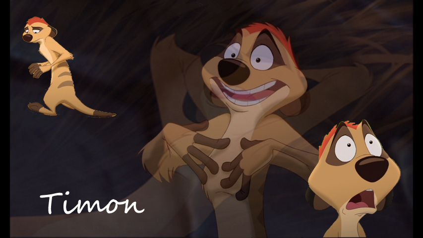 Une image de timon 
