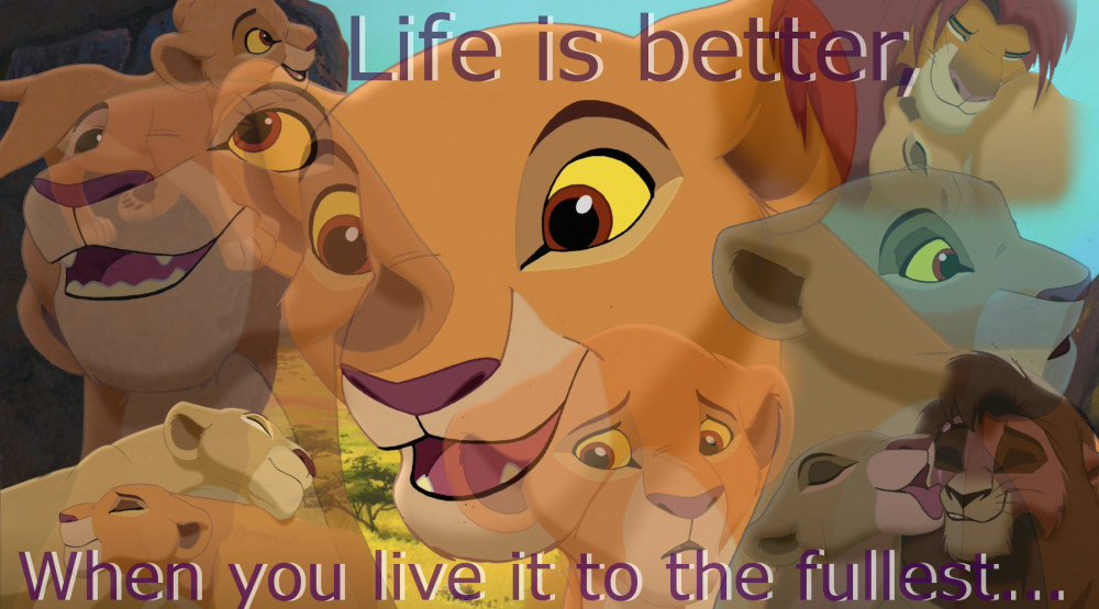 Live it & Love it