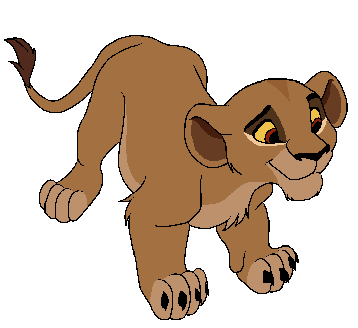 Cub Zira Colours