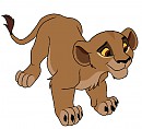 Cub Zira Colours