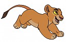 Cub Kiara Colours