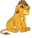 Cub Kopa's Colours