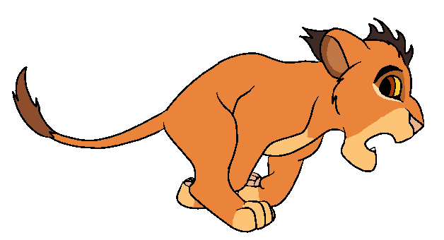 Cub Malka's Colours