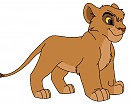Cub Vitani Colours