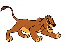 Cub Mohatu Colours