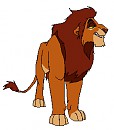 Adult Ahadi Colours