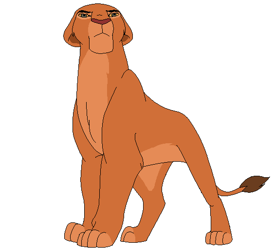 Adult Nala Colours