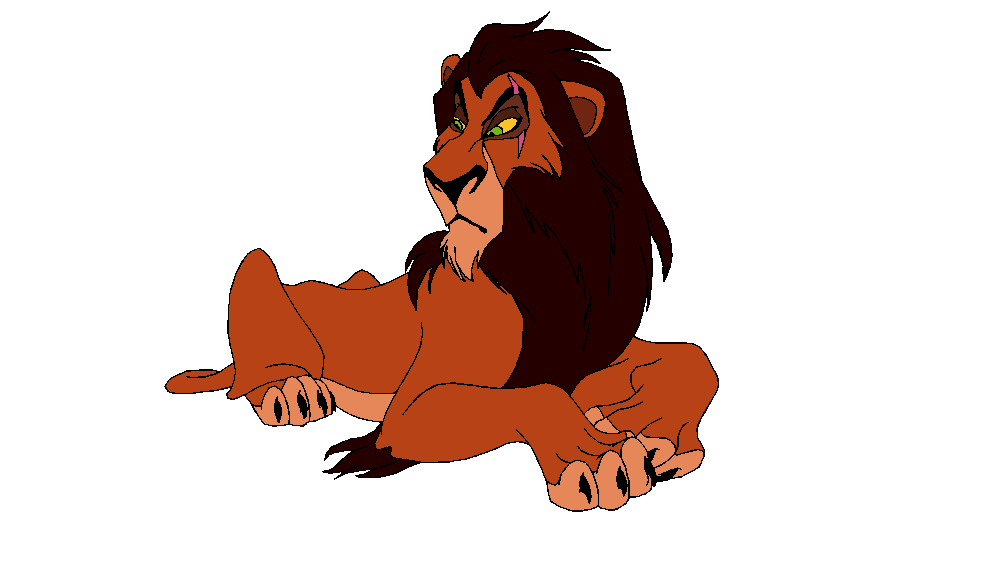 Adult Scar Colours