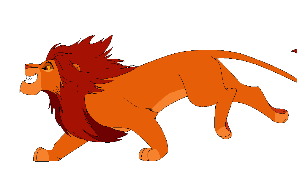 Adult Simba Colours
