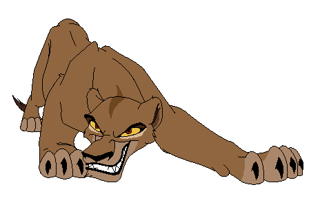 Adult Zira Colours