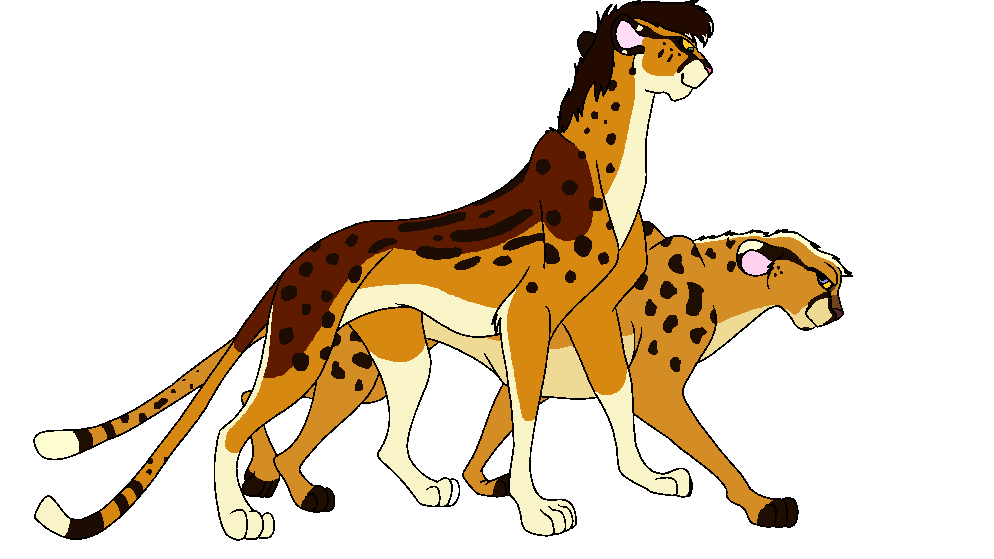 Busara and Moyo
