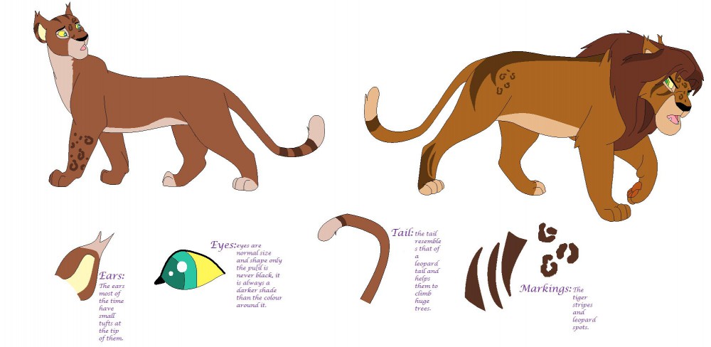 Ligeon Information image XD