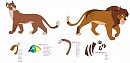 Ligeon Information image XD