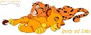 Lets Sleep Simba