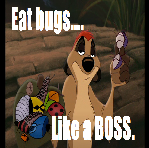 Like a BOSS 2.