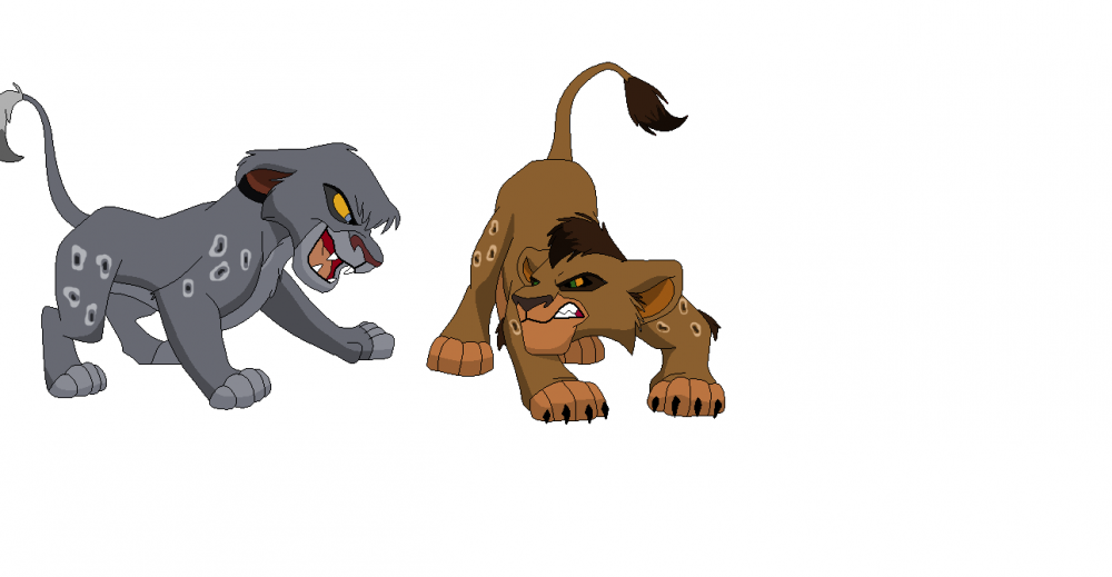 Adoptable cubs