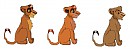 Adoptable male cubs