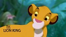 Lion King poster
