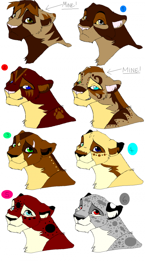 Adoption here <---