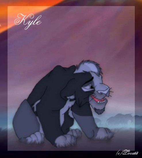 Kyle Cadeau pour Silversky ! 