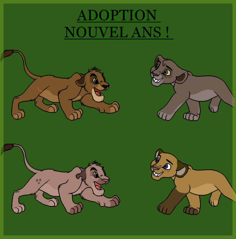 Adoption du nouvel ans ! 