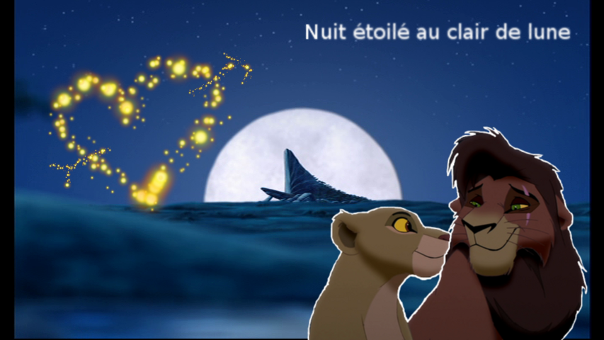 Nuit étoilée au clair de lune