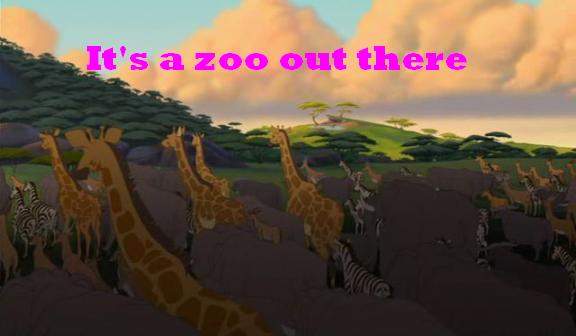 I LUV zoos