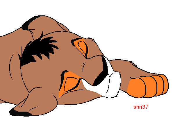 Good night kaly