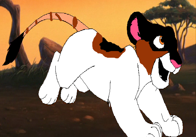 For Glameow!