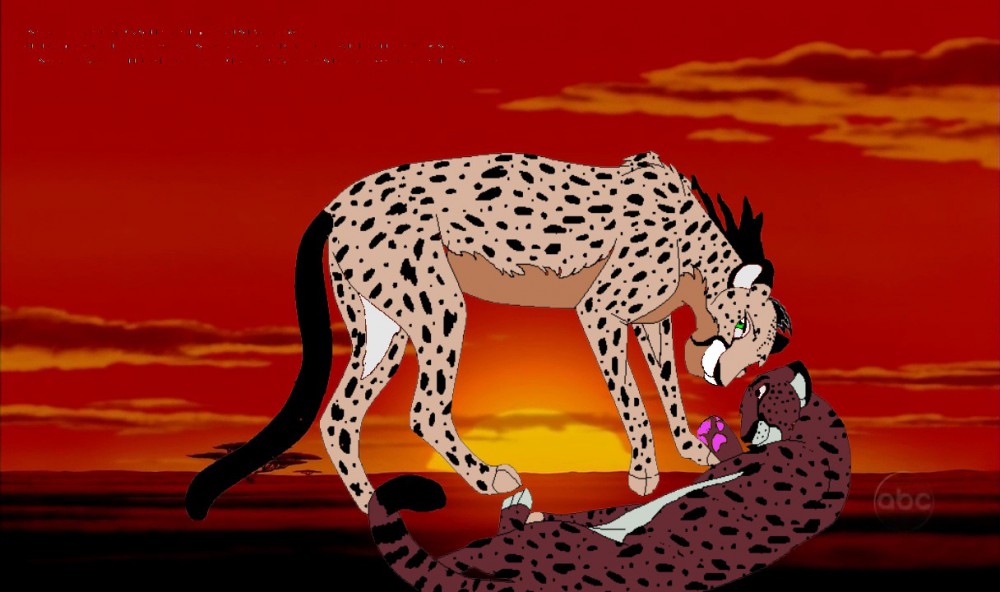voila une image de nos deux guepard^^