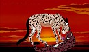 voila une image de nos deux guepard^^