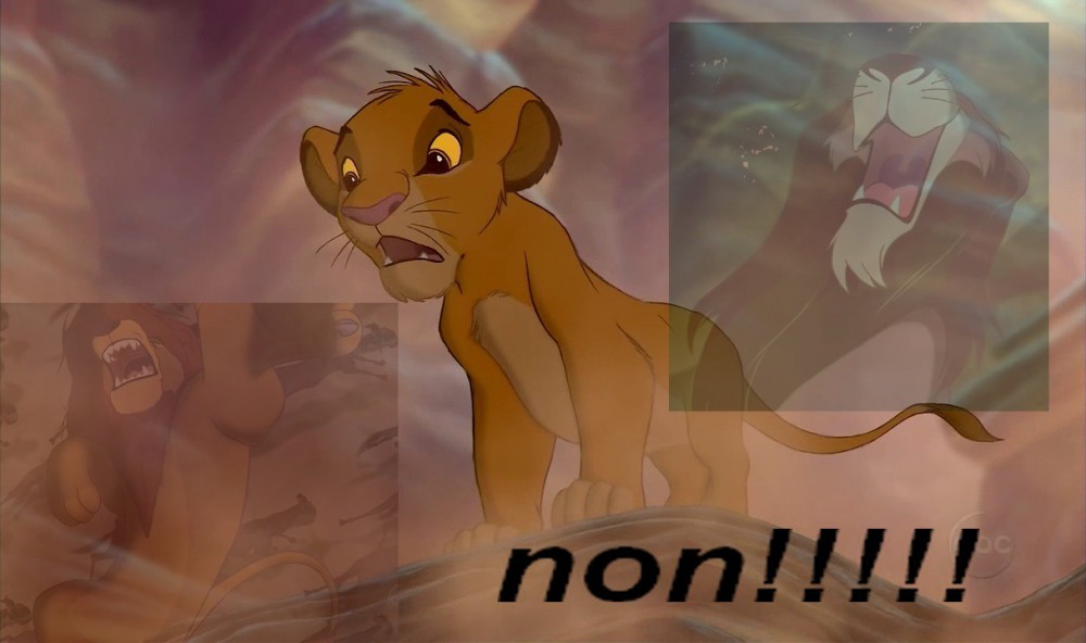 non simba voit sont pere mourrir