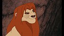 Walkin, mon nouveau lion