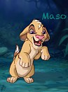 Maso