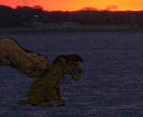 Edited Jawia and Safari hunting