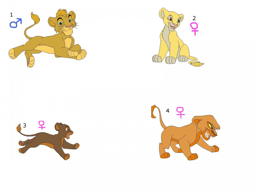 adoptions n°1