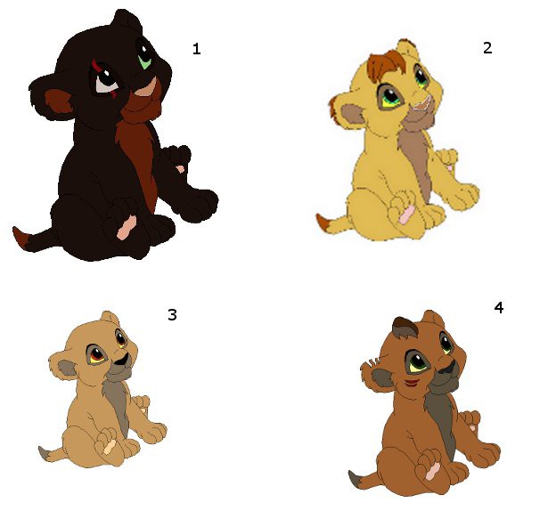 Adoptions 3