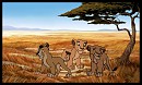 Sarabi, Sarafina, Zira enfants