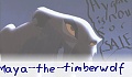 maya_the_timberwolf