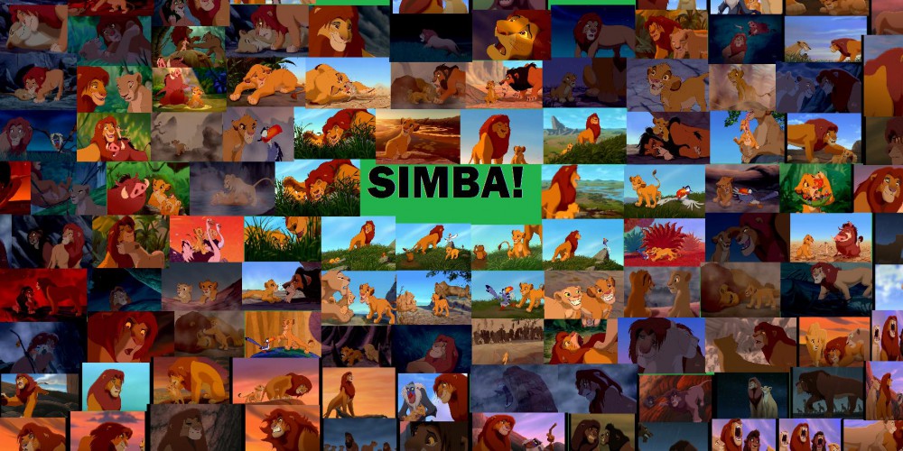 HUGE SIMBA COLLAGE